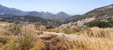 2364242